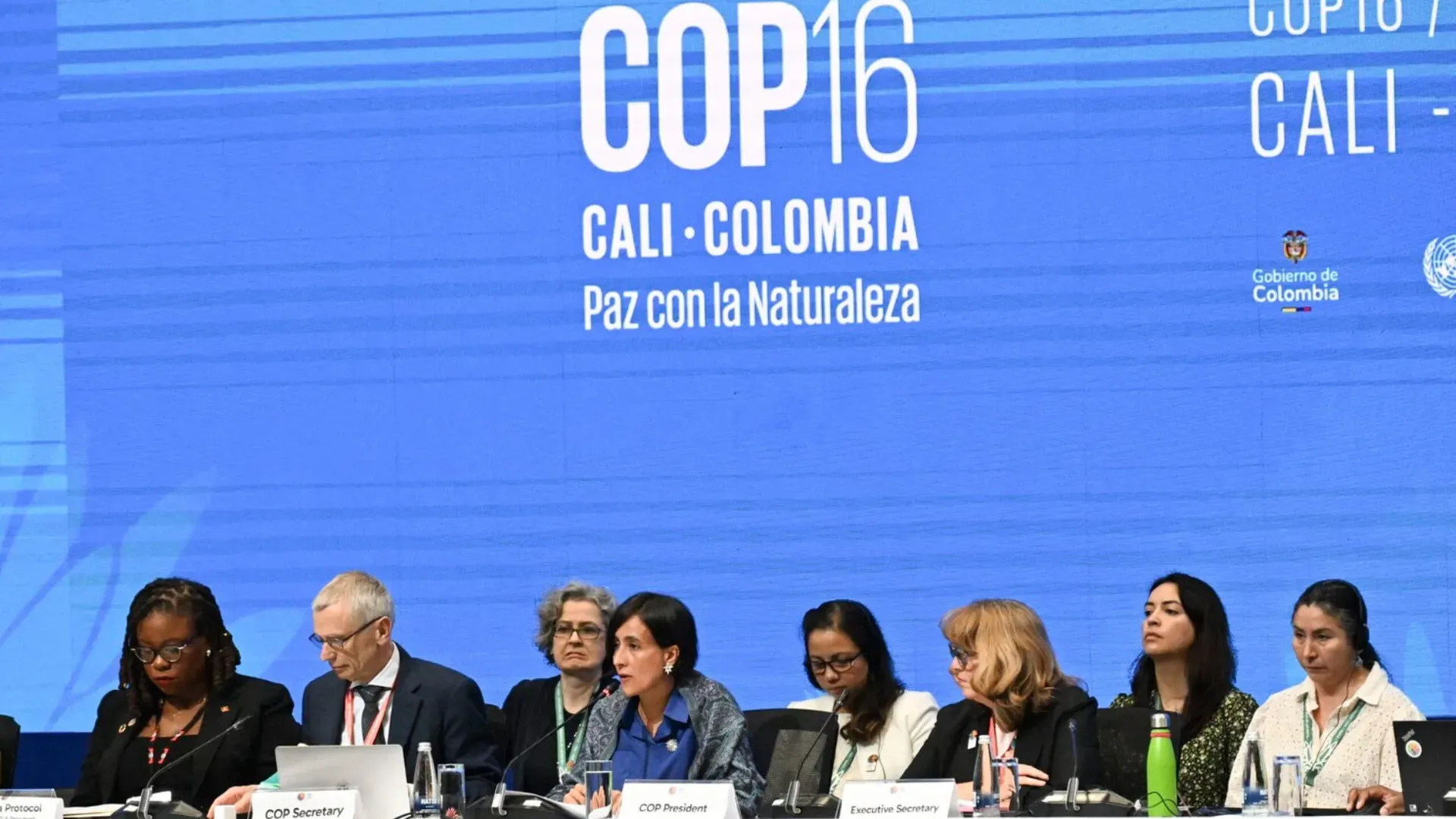 COP 16 proceedings underway